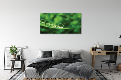 Obrazy na plátně Vodní kapky makro