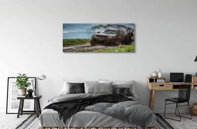 Obrazy na plátně Auto Field hory mraky