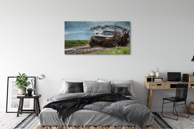 Obrazy na plátně Auto Field hory mraky