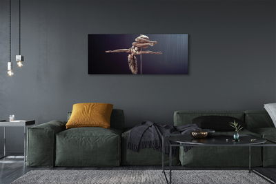 Obrazy na plátně Tanec trubka žena