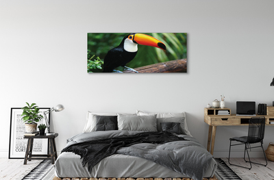Obrazy na plátně Tukan na větvi