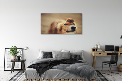 Obrazy na plátně dog bun
