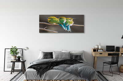 Obrazy na plátně Ptáci na větvi