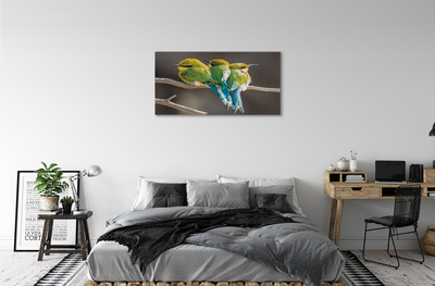 Obrazy na plátně Ptáci na větvi