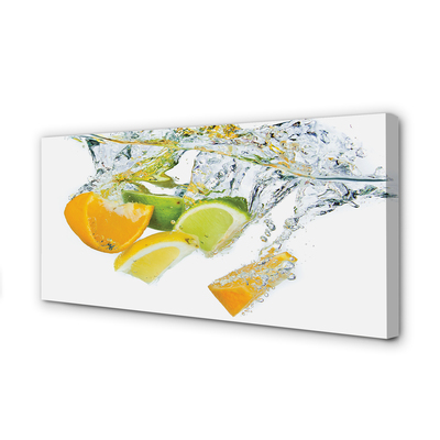 Obrazy na plátně voda citrus