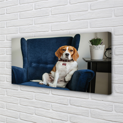 Obrazy na plátně sedící pes