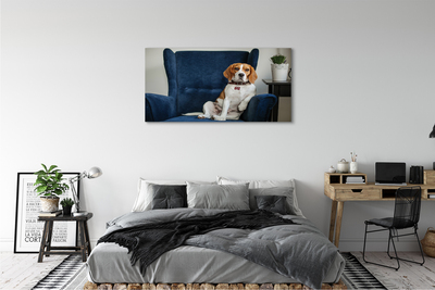 Obrazy na plátně sedící pes