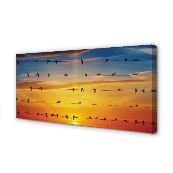 Obrazy na plátně Ptáci na lanech západu slunce