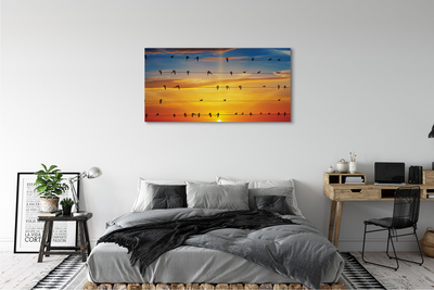 Obrazy na plátně Ptáci na lanech západu slunce