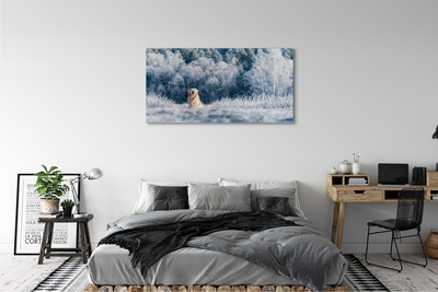 Obrazy na plátně Zimě salašnický pes