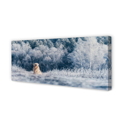 Obrazy na plátně Zimě salašnický pes