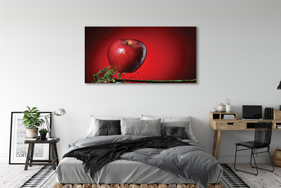Obrazy na plátně jablko ve vodě