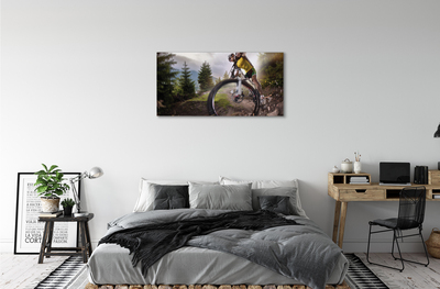 Obrazy na plátně Cloud na horském kole