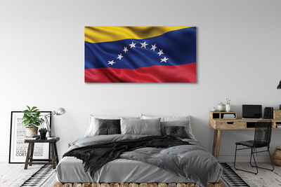 Obrazy na plátně vlajka Venezuely