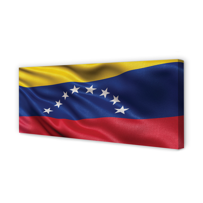 Obrazy na plátně vlajka Venezuely