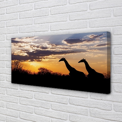 Obrazy na plátně Žirafy strom mraky
