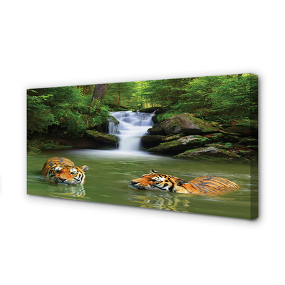 Obrazy na plátně vodopád tygři