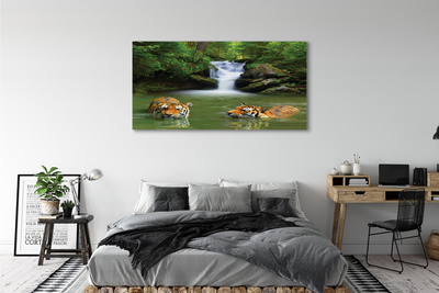 Obrazy na plátně vodopád tygři