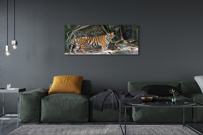 Obrazy na plátně tygr džungle