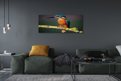 Obrazy na plátně Barevný pták na větvi
