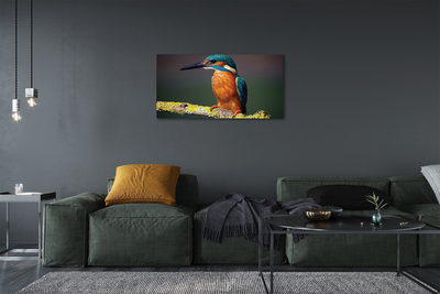 Obrazy na plátně Barevný pták na větvi
