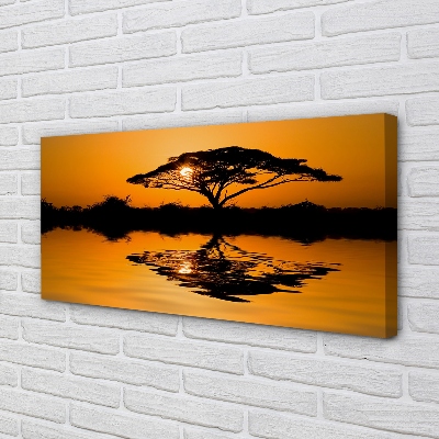 Obrazy na plátně Sunset tree
