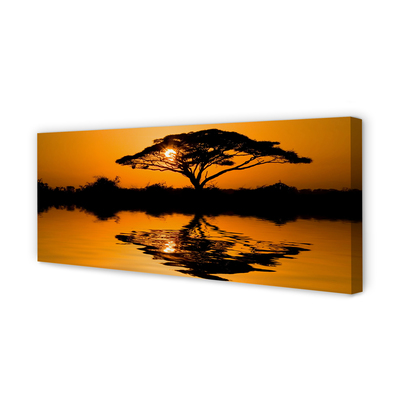 Obrazy na plátně Sunset tree