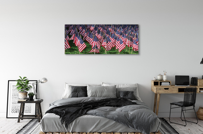 Obrazy na plátně Usa vlajky