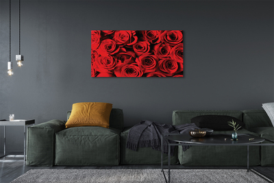 Obrazy na plátně Růže