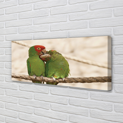 Obrazy na plátně zelené papoušci