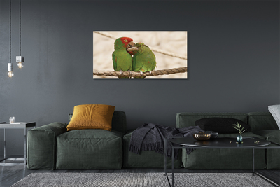 Obrazy na plátně zelené papoušci