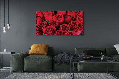 Obrazy na plátně Růže