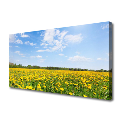 Obraz na plátně Pampeliška Krajina