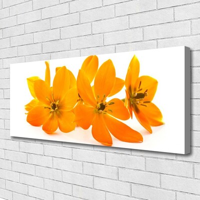 Obraz na plátně Oranžové Květiny