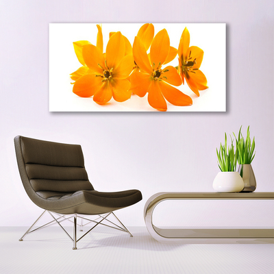 Obraz na plátně Oranžové Květiny