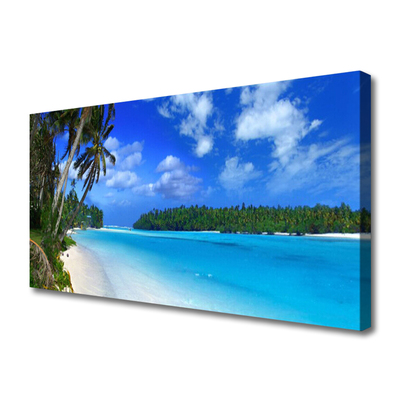 Obraz na plátně Pláž Palmy Moře Krajina