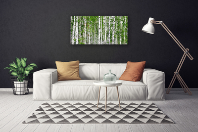 Obraz na plátně Bříza Les Stromy Příroda