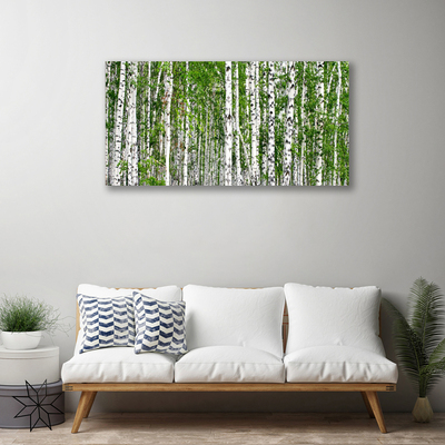 Obraz na plátně Bříza Les Stromy Příroda
