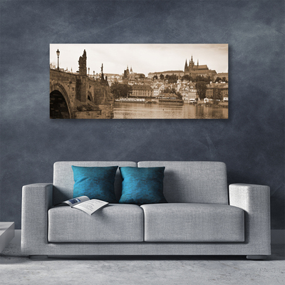 Obraz na plátně Praha Most Krajina
