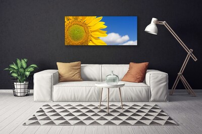 Obraz na plátně Slunečnice Mraky
