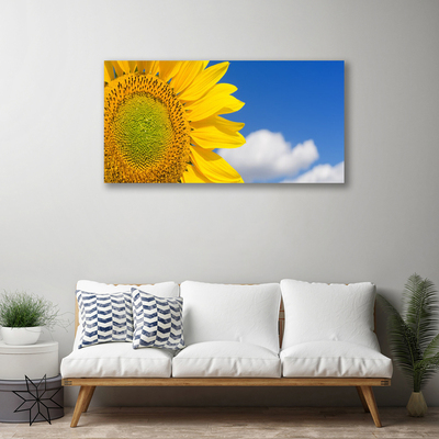Obraz na plátně Slunečnice Mraky