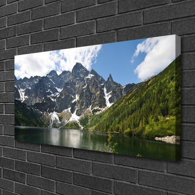 Obraz na plátně Hora Jezero Les Krajina