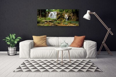 Obraz na plátně Vodopád Řeka Les Příroda