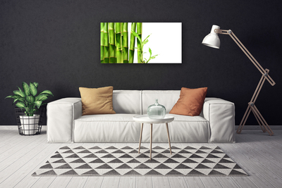Obraz na plátně Bambus Rostlina