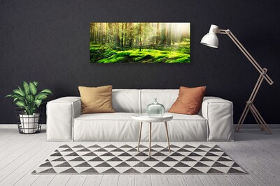 Obraz na plátně Mech Les Příroda