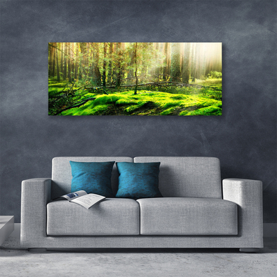 Obraz na plátně Mech Les Příroda