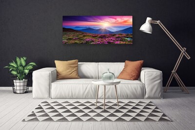 Obraz na plátně Hora Louka Květiny Krajina