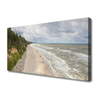 Obraz na plátně Pláž Moře Strom Příroda
