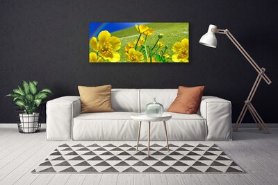Obraz na plátně Louka Květiny Duha Příroda