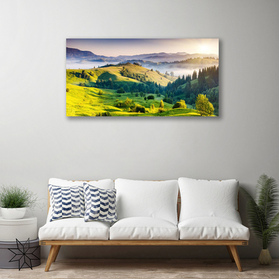 Obraz na plátně Hora Pole Mlha Příroda